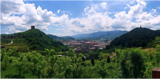 文章附图